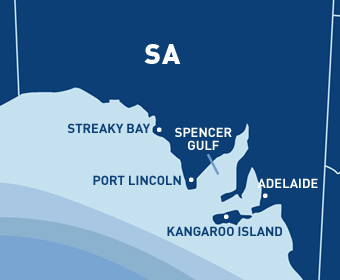 South Australia map